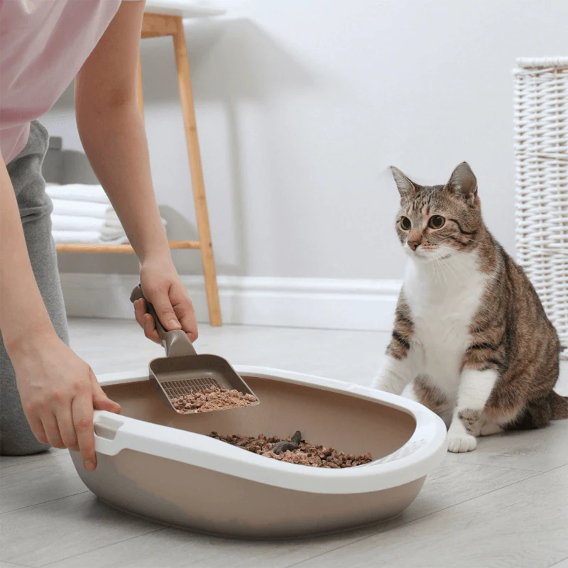 ELITE Pine Wood Natural Cat Litter 15KG - Image 3