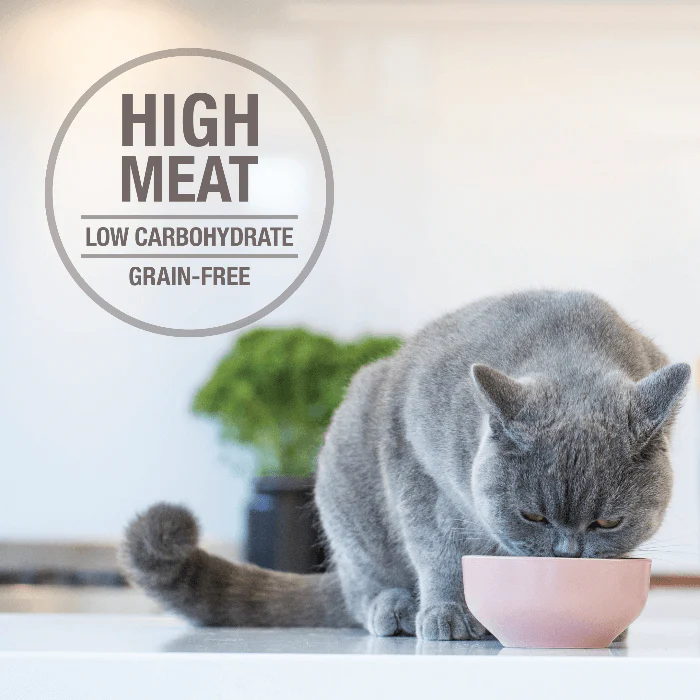 Feline Natural Beef And Hoki Wet Cat Food Canned 170G - Image 3