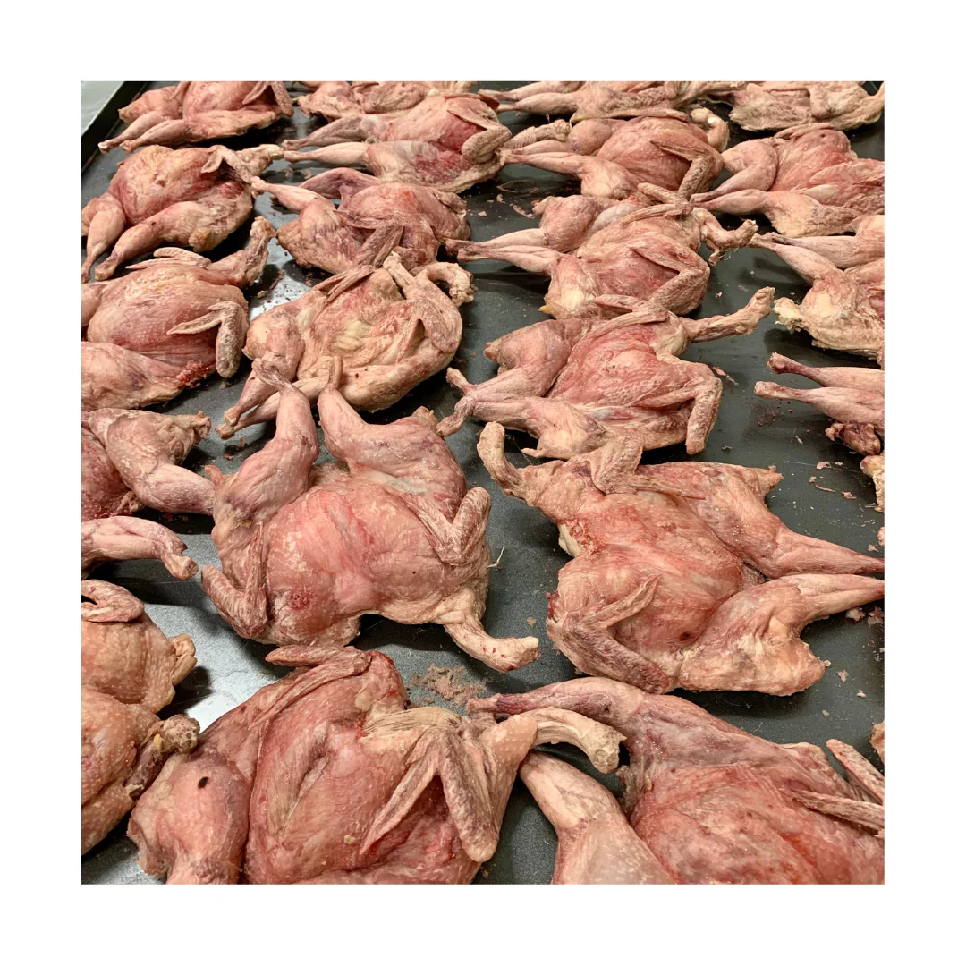 Freezy Paws Dogs and Cats Freeze Dried Raw Whole Quail x 1 PC - Image 3