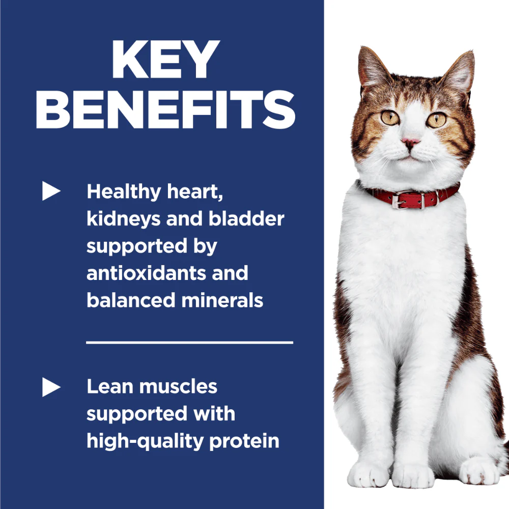 Hill's Science Diet Adult 7+ Senior Chicken Recipe Dry Cat Food - Image 4