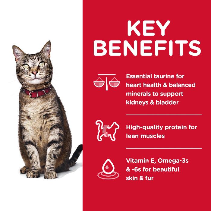 Hill's Science Diet Adult Dry Cat Food Chicken - Image 3