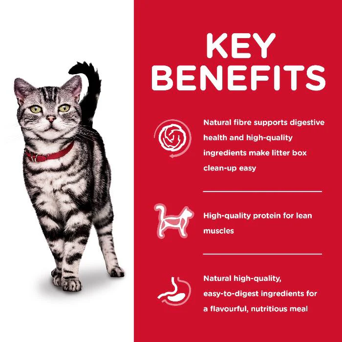 Hills Science Diet Adult Indoor Dry Cat Food Chicken - Image 3