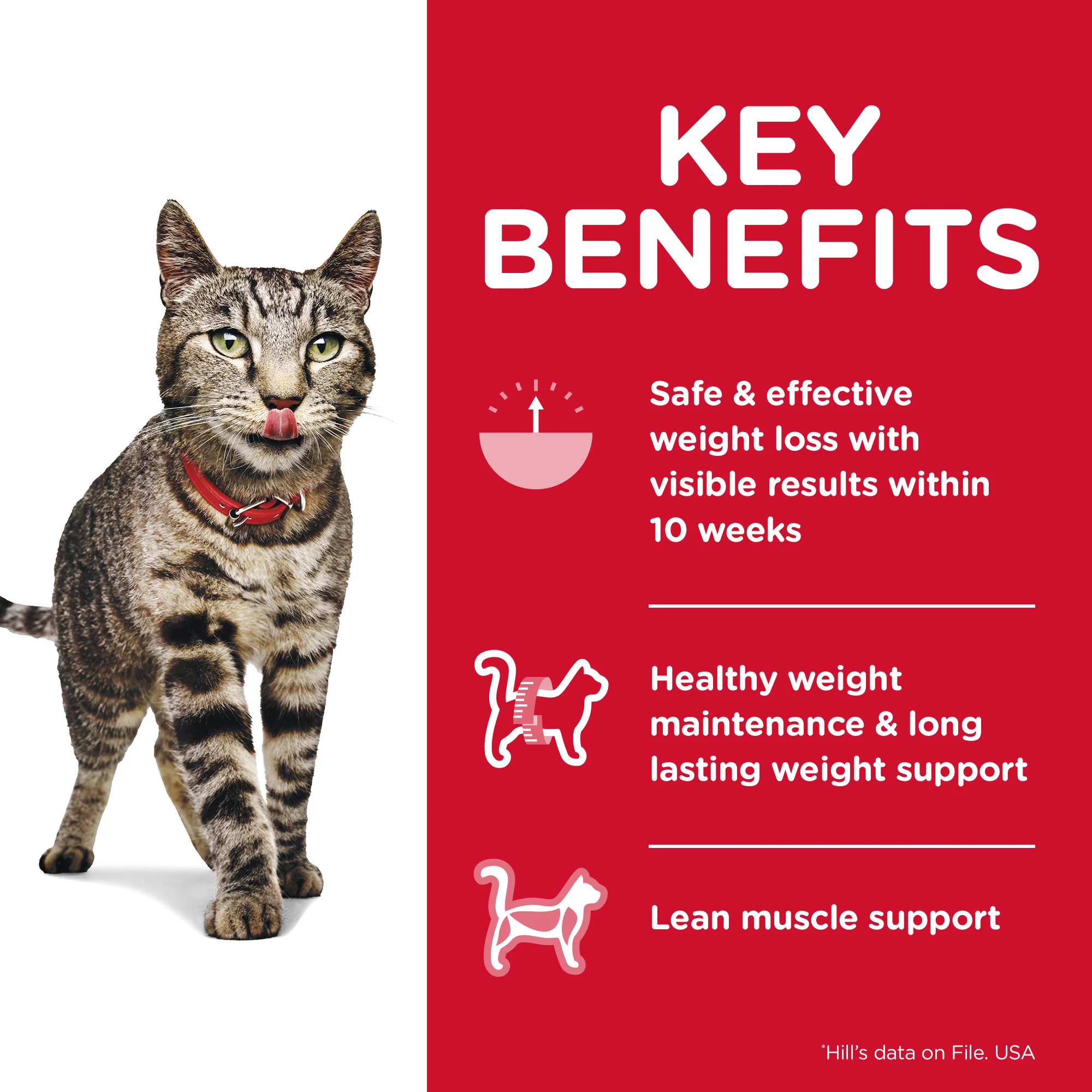 Hill's Science Diet Adult Perfect Weight Dry Cat Food - Image 3