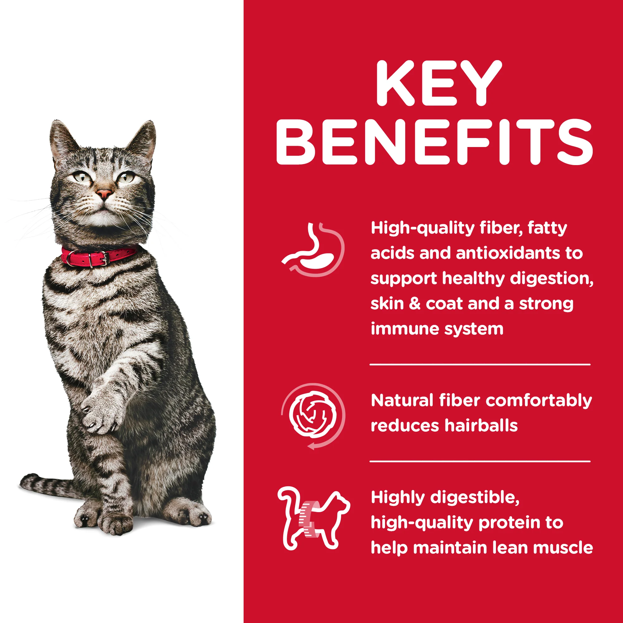Hill's Science Diet Adult Urinary Hairball Control Dry Cat Food Chicken 3.17KG - Image 3