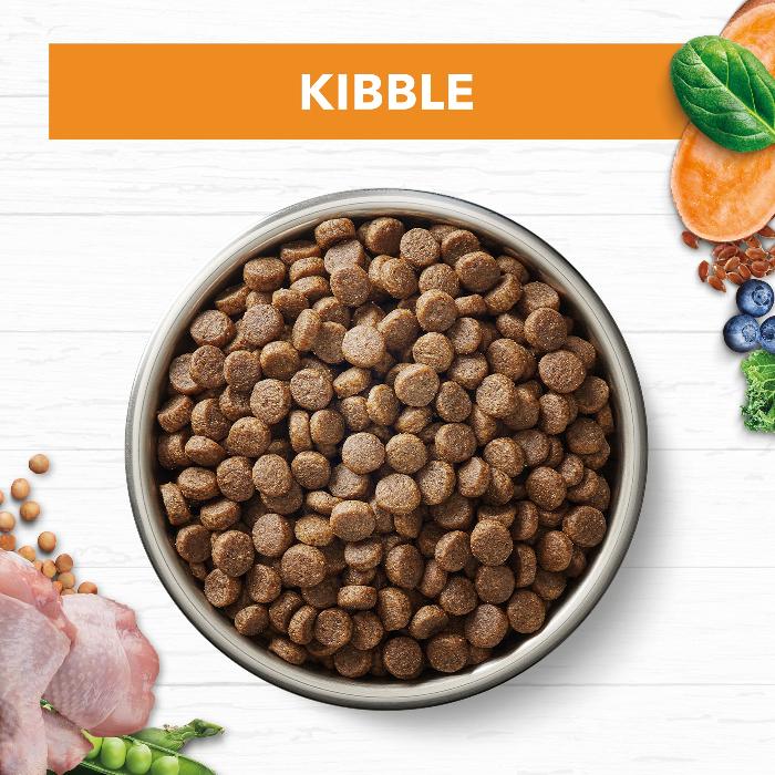 IVORY COAT Grain Free Chicken Adult Dry Cat Food 4KG - Image 4