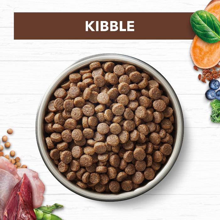 Ivory Coat Grain Free Chicken And Kangaroo Dry Cat Food Adult Indoor 4KG - Image 10