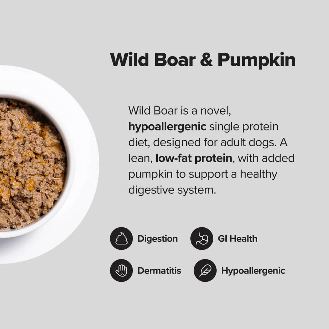 PRIME100 SPD™ Slow Cooked Wild Boar & Pumpkin Wet Dog Food - Image 3