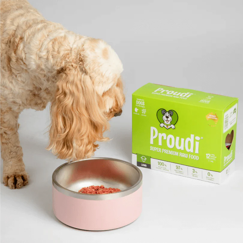 Proudi Raw Lamb Dog Food 2.4kg Single Protein Patties - Image 3