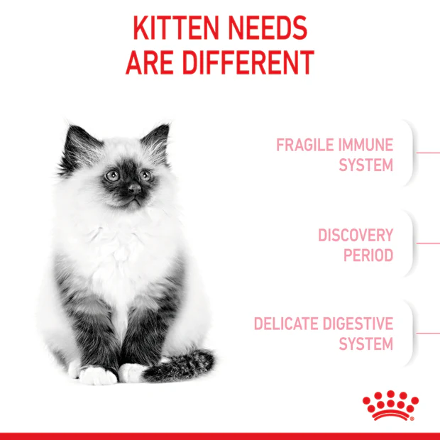 ROYAL CANIN Kitten Second Age Dry Cat Food - Image 3