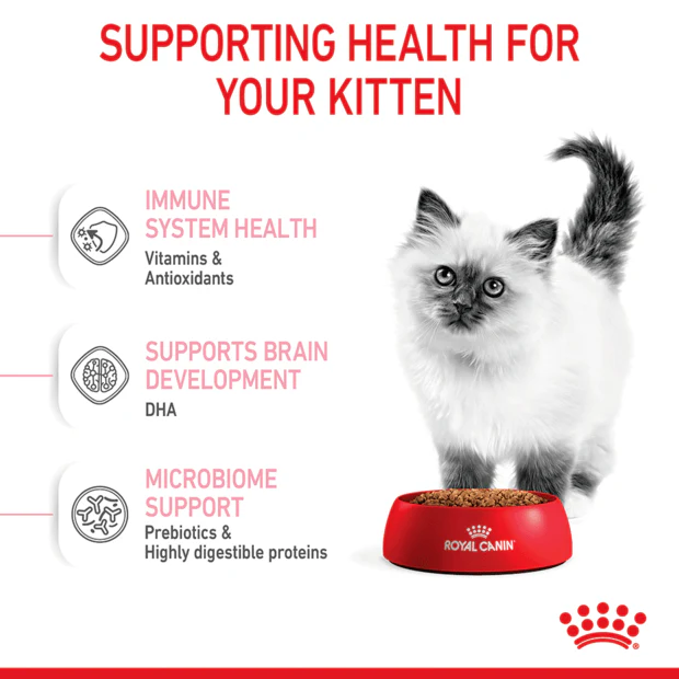 ROYAL CANIN Kitten Second Age Dry Cat Food - Image 4