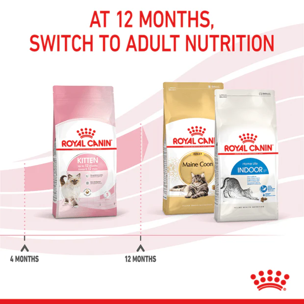 ROYAL CANIN Kitten Second Age Dry Cat Food - Image 9