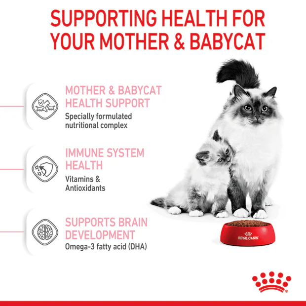 Royal Canin Mother And Babycat Dry Cat Food - Image 4