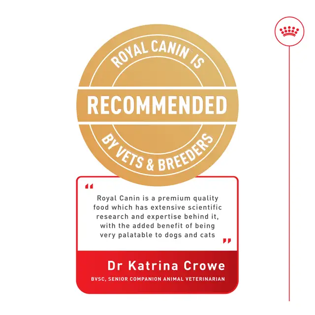 ROYAL CANIN Ragdoll Adult Dry Cat Food - Image 6